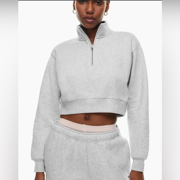 ARITZIA TNA Gray Cropped Boxy Sweatshirt - Picture 1 of 7